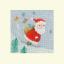 Delivery By Skis Christmas Card