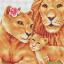 Safari Lion