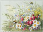 Daisies and Clover