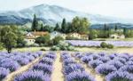 Mountain lavender