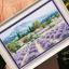 Mountain lavender