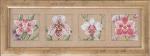4 Orchids