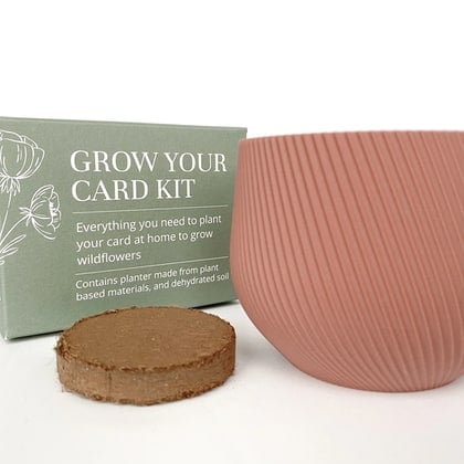 The Grow Your Card Kit - Salmon