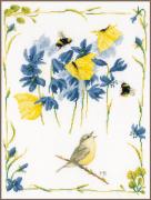 Chirping chiffchaff