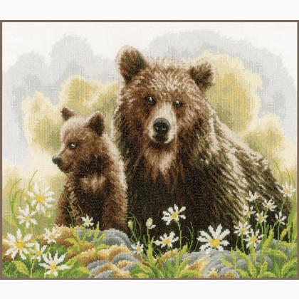 Bears in the woods