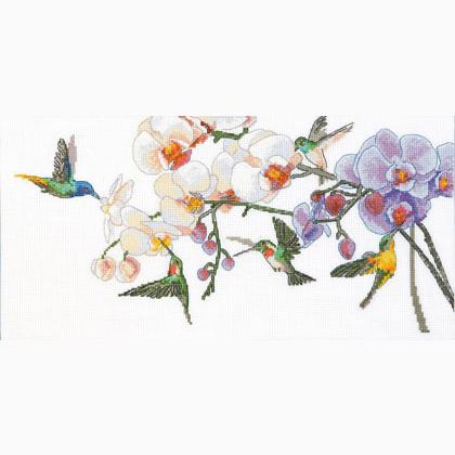 Tropical scent