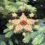 Christmas Toys - Stars