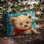 Little Bear