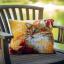 Front Cushion: Cat with autumn leaves