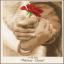 Wedding rose