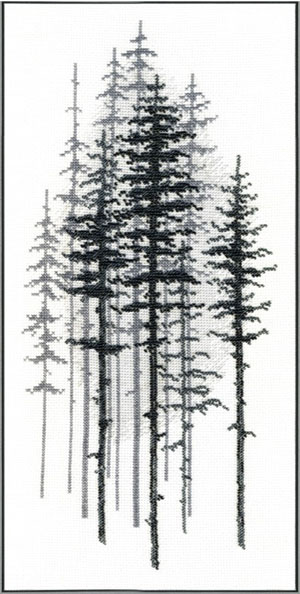 Foggy forest