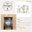 Decor Transfers - Water Lillies