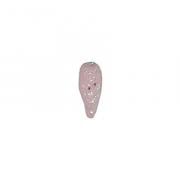 Pink Shell