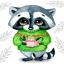 Cute Racoon