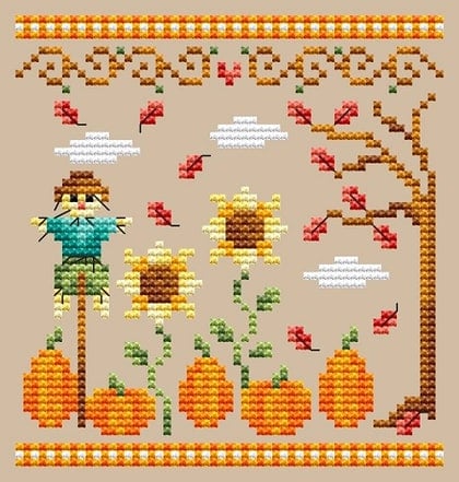 Pumpkin Patch