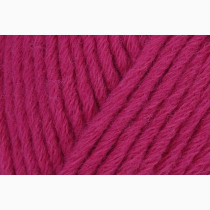 Boston - Fuchsia