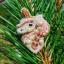 Unicorn Brooch