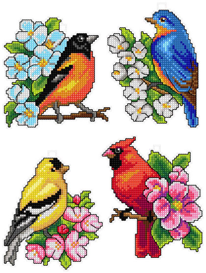 Birds