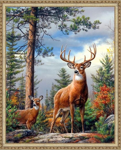 Deer on the slope From Artibalta - Diamond Painting - Kits - Casa