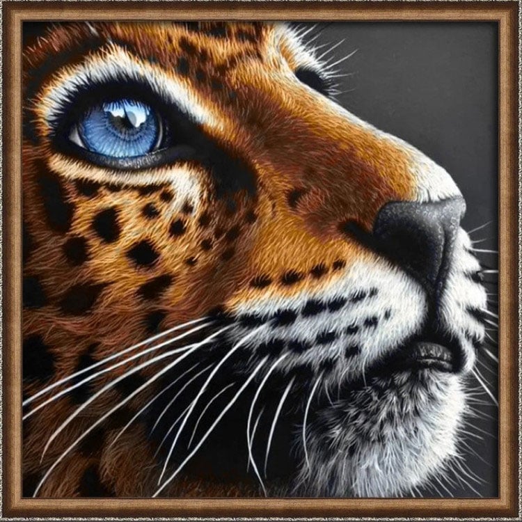 Blue Eyed Leopard