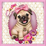 Baby Pug
