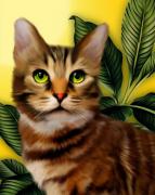 Green-eyed kitten