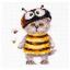 Cat Basik - Bee