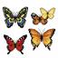 Butterflies