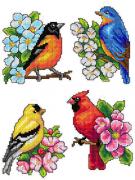 Birds