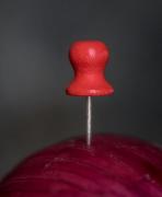 Wooden Map Push Pins Red