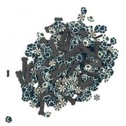 Sprinkletz Embellishments - Top Dog