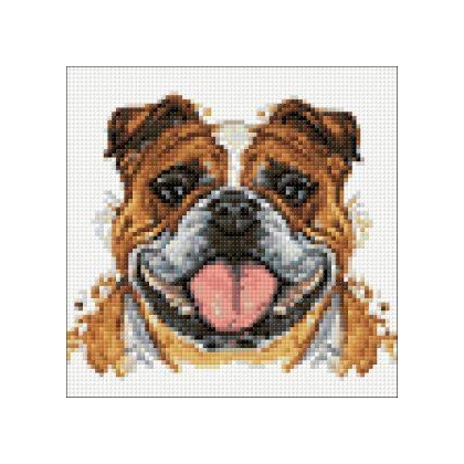 Bulldog