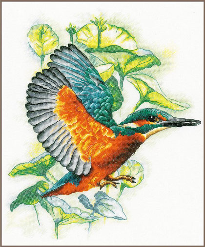 Flying kingfisher - Aida