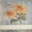 Kitchen towel - Girasoli Vintage