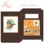 Flying kingfisher - Aida