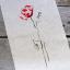 Un Coquelicot