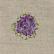Bouquet de Violettes