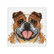 Bulldog