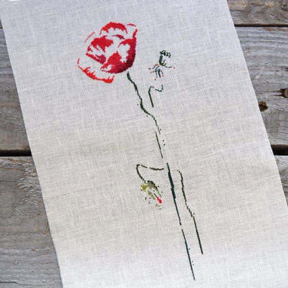 Un Coquelicot
