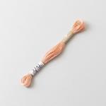 Cosmo Embroidery Floss - 2341