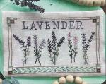 Fresh Picked Lavender