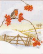 Winterland