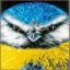 Close-up Blue Tit