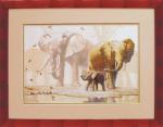 Elephants