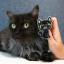 Black Cat - Brooch