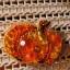 Pumpkin - Brooch