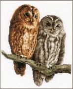 Owls