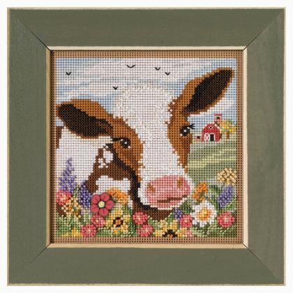 Autumn Series - Spotted Cow