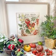 Étude aux tomates - Linen