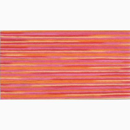 Cosmo Seasons Embroidery Floss - 5003